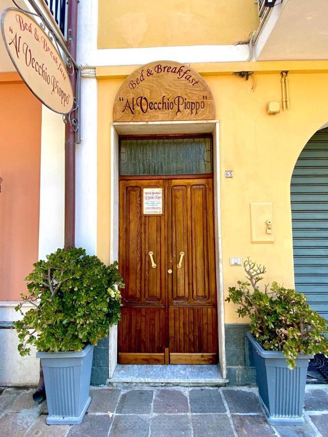 Al Vecchio Pioppo Bed & Breakfast Praia a Mare Ngoại thất bức ảnh