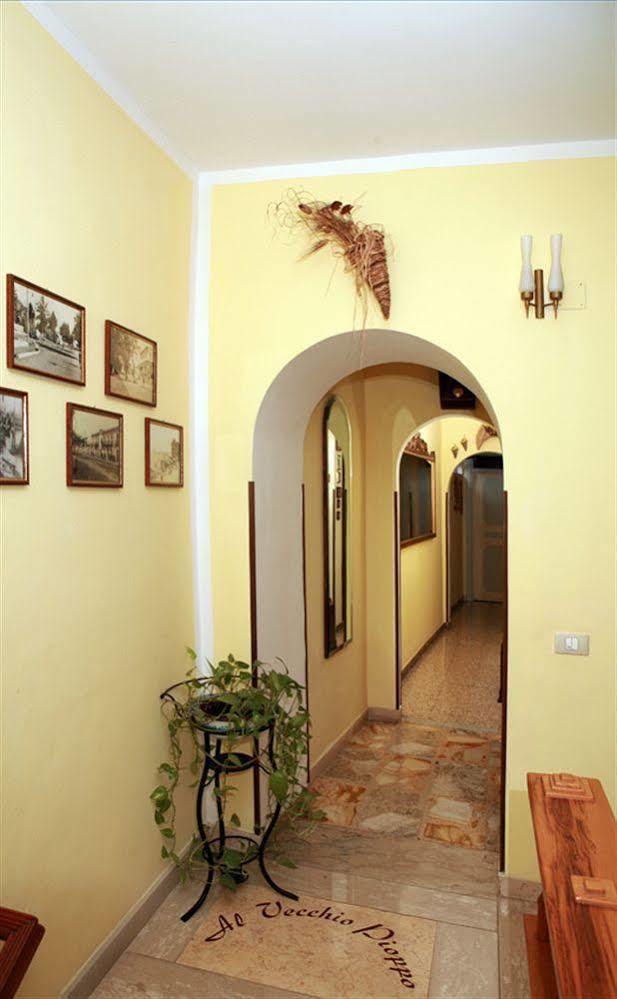 Al Vecchio Pioppo Bed & Breakfast Praia a Mare Ngoại thất bức ảnh